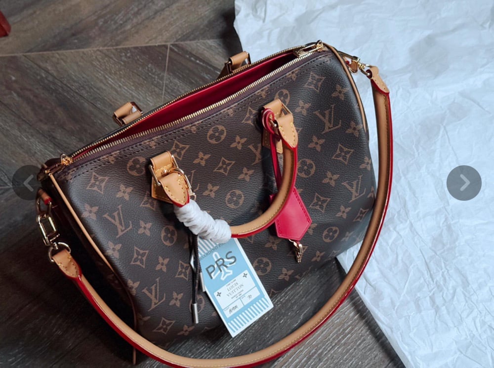 LV Speedy Bag