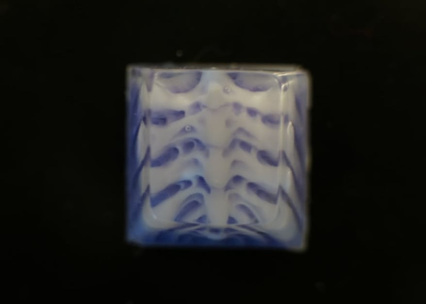 lilac Bonecage 