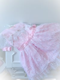 Image 3 of Lacey - 6 years 