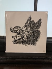 Original Ink Boar Drawing