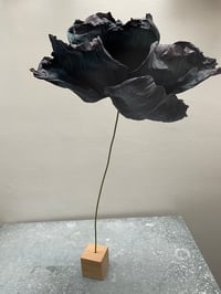 Image 1 of Fleur pavot noire