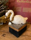 Spun Cotton Swan Bonne Fete Keepsake box 