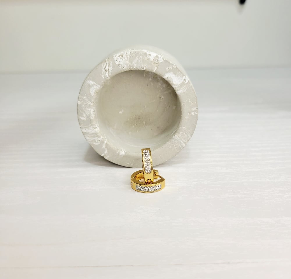 Image of Berlin Hoop Earrings 