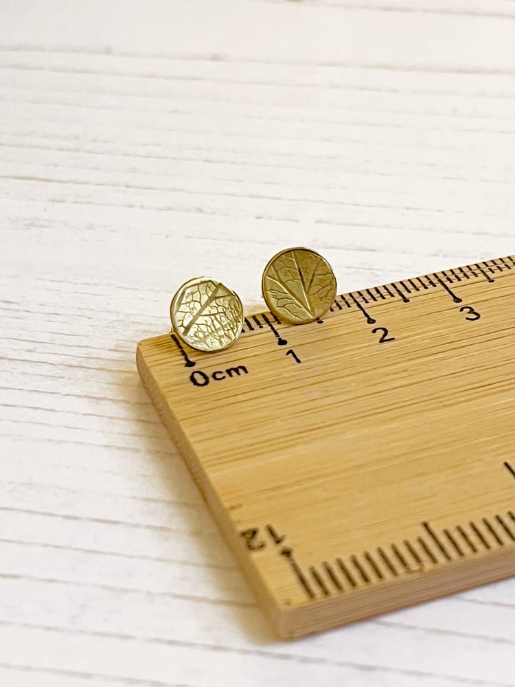 Image of Brass disc stud earrings with hydrangea petal imprint detail. Sterling silver posts.