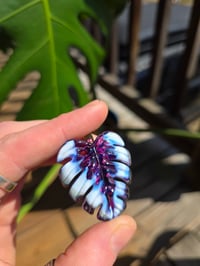 Image 2 of Purple variegated monstera pendant (uv reactive) 🌿