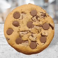 Chocolate Chip🍪