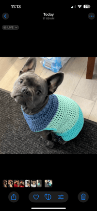 Image 3 of Dog Sweater-Medium