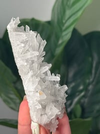 Image 2 of NEEDLE QUARTZ CLUSTER -BULGARIA-