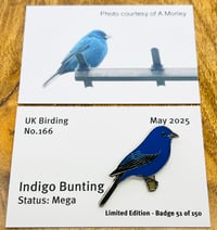 Image 1 of Indigo Bunting - No.166 - UK Birding Pins