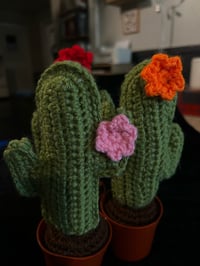 Image 3 of Cactus