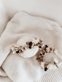 Image 5 of little star