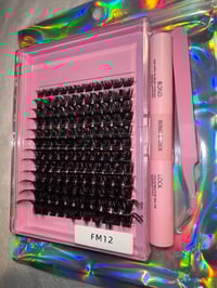 Image 1 of FM12 Cluster Set