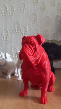 Image 2 of 3D model of your pet 