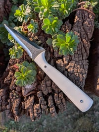 Image 2 of IVORY MICROFIGHTER