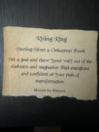 Image 13 of Rising ring II