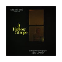 Image 4 of A Hollow Shape by David C. Porter