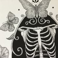 Image 5 of Skeleton With Moths And Butterflies print