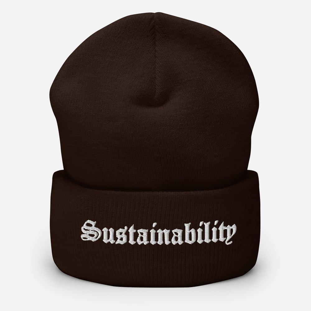 Sustainability Beanie