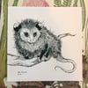 Build Your Own Pack (Limited Prints!)