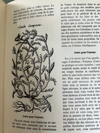 Image 22 of Le grand et le petit Albert secrets de magie naturelle et cabalistique, 1970.275p.