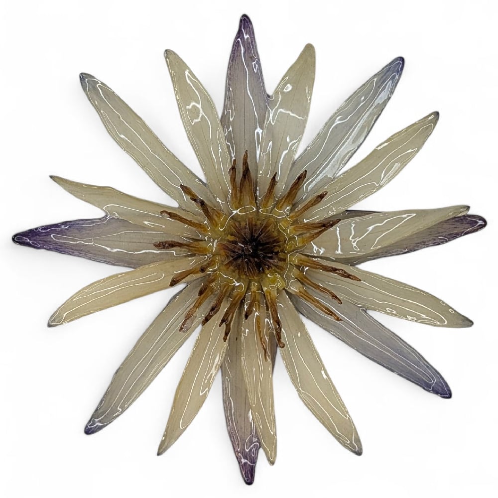 Image of Waterlily Brooch
