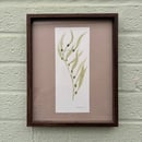 Image 1 of £50 originals - Seaweed watercolour