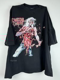 Image 1 of 1992 Cannibal Corpse Eaten Back to Life 