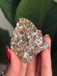 Image 2 of NATURAL IRIDESCENT CHALCOPYRITE- MOROCCO- F