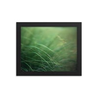 Image 4 of "Wavy Grass" Framed poster