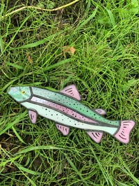 Image 2 of Rainbow Trout 🌈
