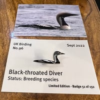 Image 1 of Black-throated Diver - No.96 - UK Birding Pins - Enamel Pin Badge