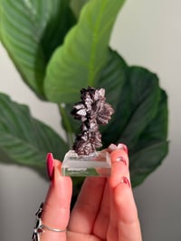 Image 1 of PROPHECY STONE ON ACRYLIC STAND -EGYPT- A
