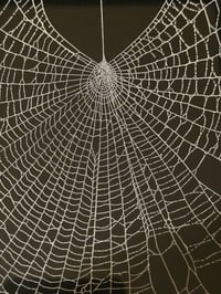 Image 3 of Large Chunky Gothic black ornate framed preserved web