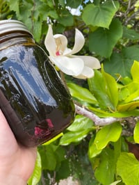 Image 3 of honey 