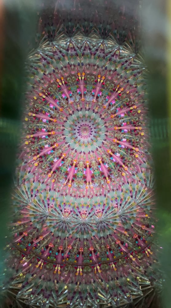 Image of Pastel Swirl Jumbo Wand AuraScope