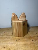 Image 5 of Natural cat lantern