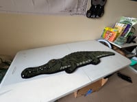 Image 1 of Gator 
