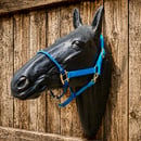 Image 2 of Fusion Halter (Lariat nose on Weaver web)