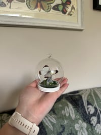 Image 2 of Great Southern White mini dome 