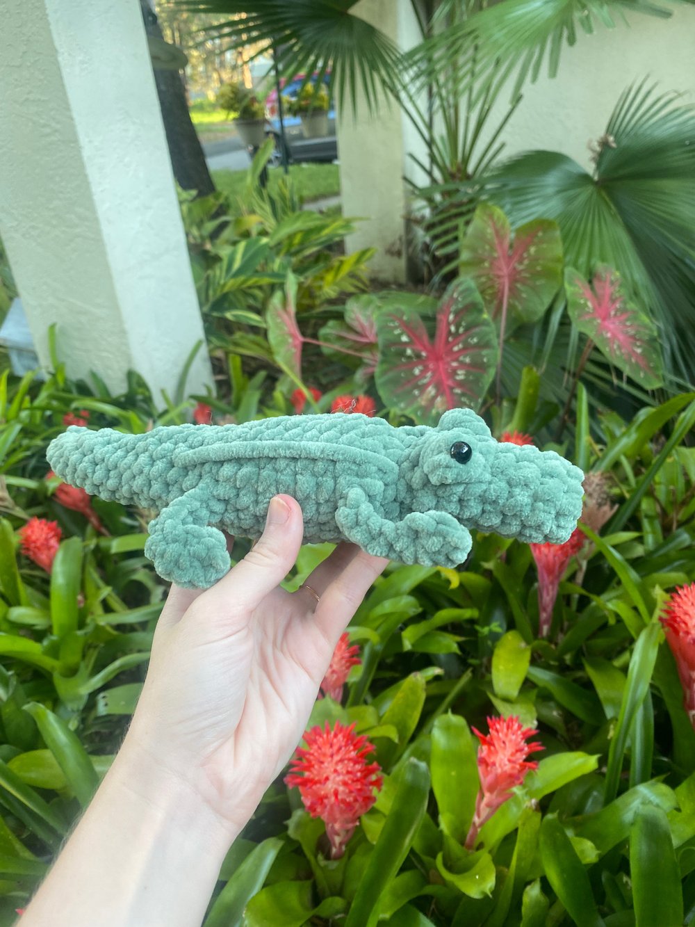 Image of Alligator 