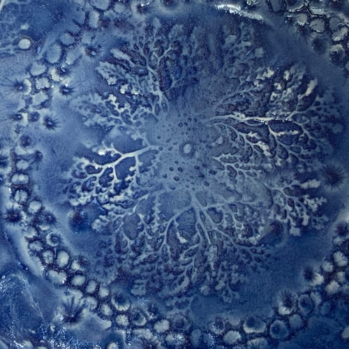 Image of Medium Rockpool Serving Plate with shell feet.(A)