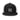 WF Mesh Snap Back 