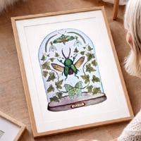 Image 4 of January Dome, Under Glass Collection