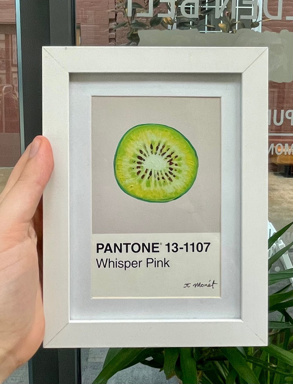 Image of Kiwi Pantone