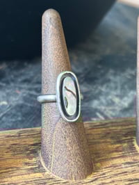 Image 2 of Abalone Ring (5)