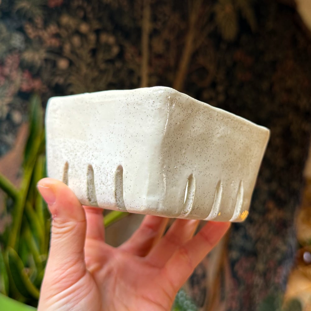 image of berry basket