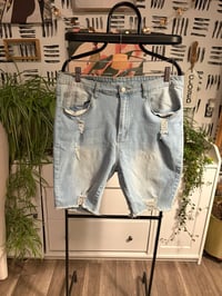 SHEIN curve denim  shorts 