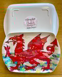 Image 13 of Melamine scatter trays 