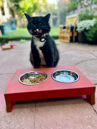 Image 4 of Elevated Cat Feeder (Whisker Friendly, Stainless Bowls)