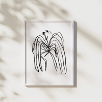 Spider Plant - Fine Art Print